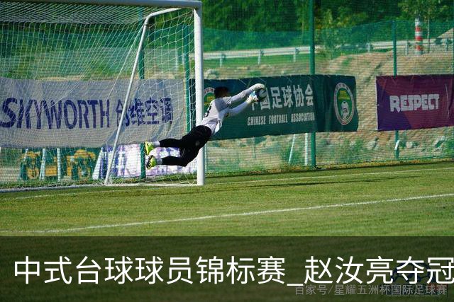 中式台球球员锦标赛 赵汝亮夺冠斩获百万奖金