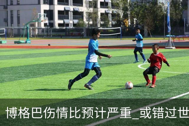 博格巴伤情比预计严重 或错过世界杯到明年才复出