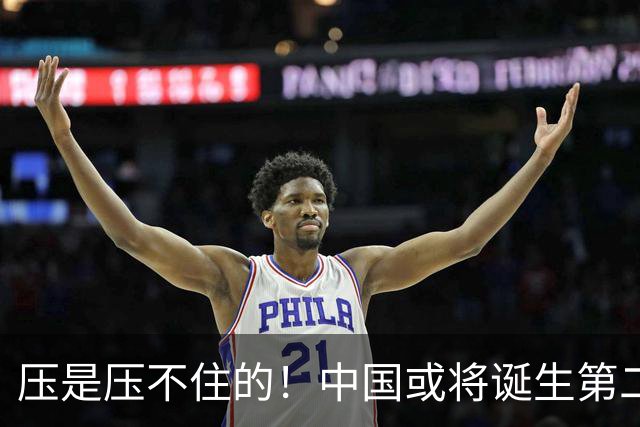 压是压不住的！中国或将诞生第二个华为