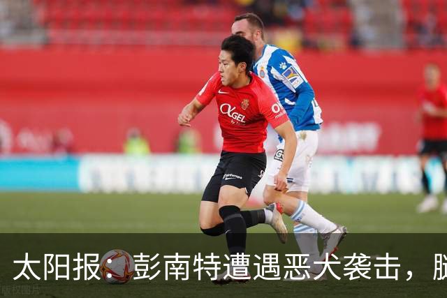 太阳报：彭南特遭遇恶犬袭击，腿部缝50余针，自家爱犬救主
