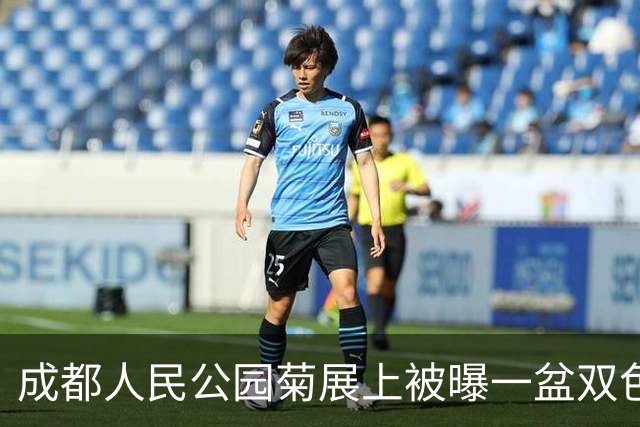 成都人民公园菊展上被曝一盆双色菊花丢失