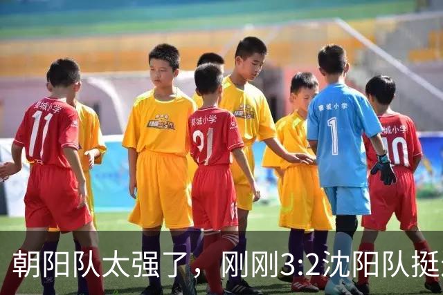 朝阳队太强了，刚刚3:2沈阳队挺进决赛！（图+视频）