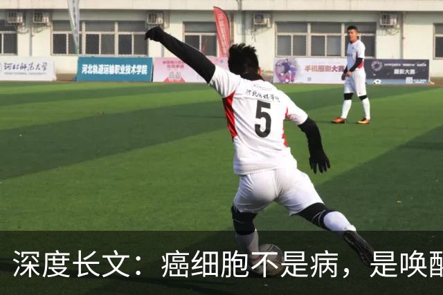 深度长文：癌细胞不是病，是唤醒了 25 亿年前的生存本能！