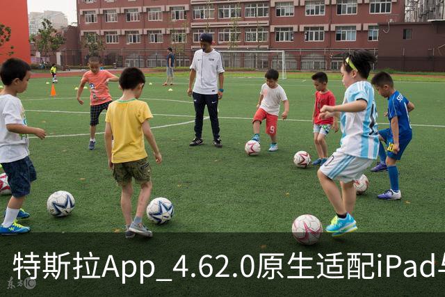 特斯拉App 4.62.0原生适配iPad与iPhone Duo