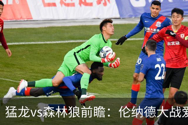 猛龙vs森林狼前瞻：伦纳德大战爱德华兹，一场不同风格的强硬对决
