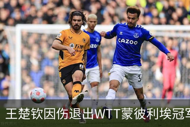 王楚钦因伤退出WTT蒙彼利埃冠军赛