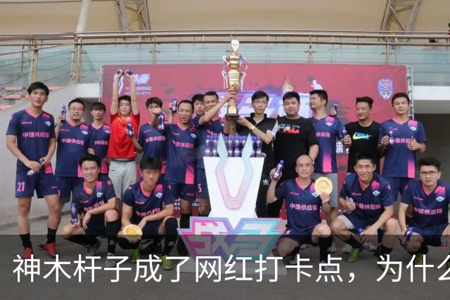神木杆子成了网红打卡点，为什么要围起来？