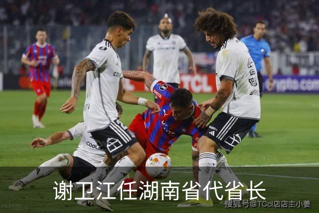 谢卫江任湖南省代省长