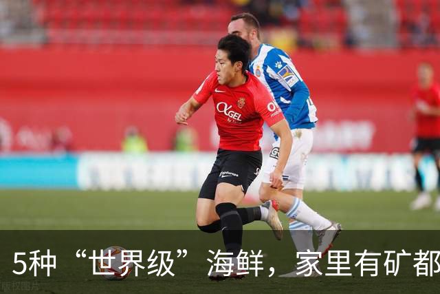 5种“世界级”海鲜，家里有矿都不敢多吃，最后1种来自中国台湾！